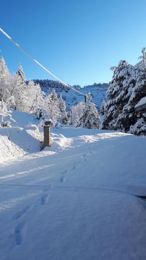 mon ecrin de nature rez de villa ensoleillé Seyne Extérieur photo